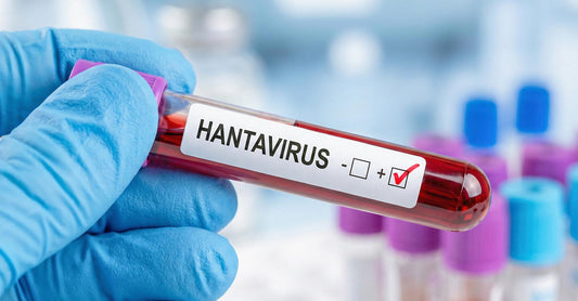 Hantavirus 2026: Tot ce trebuie să știi despre transmitere, simptome și prevenție
