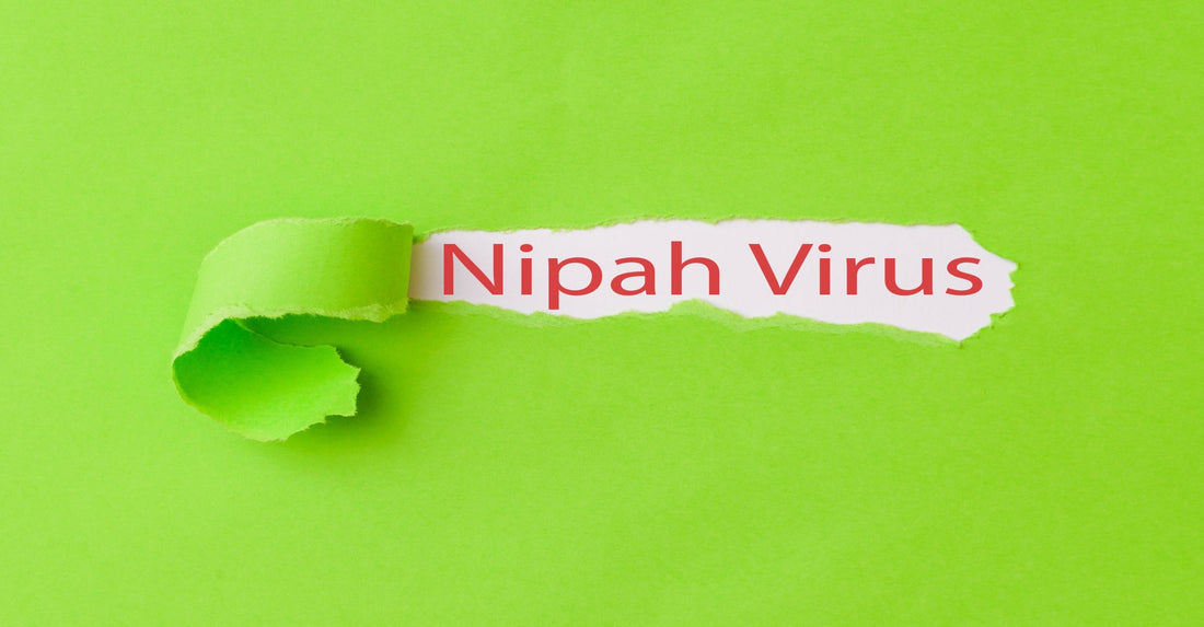 Virusul Nipah confirmat în India: primele cazuri din 2026 și măsuri de prevenție